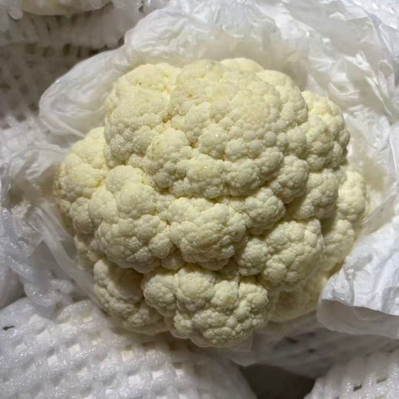 进口白花菜 IMPORT CAULIFLOWER
