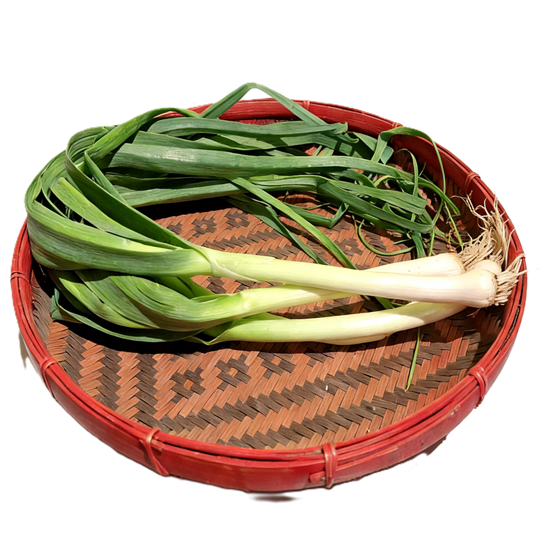 进口蒜苗 IMPORT GARLIC LEAVE
