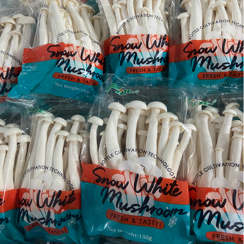 进口白雪菇 WHITE BEECH MUSHROOM