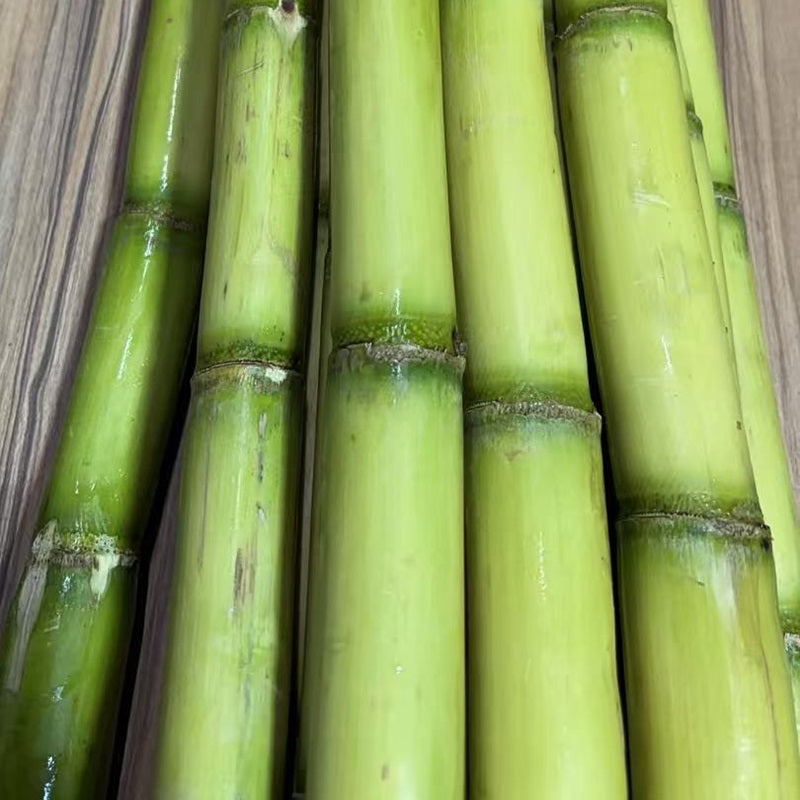 手撕水果甘蔗 SUGAR CANE