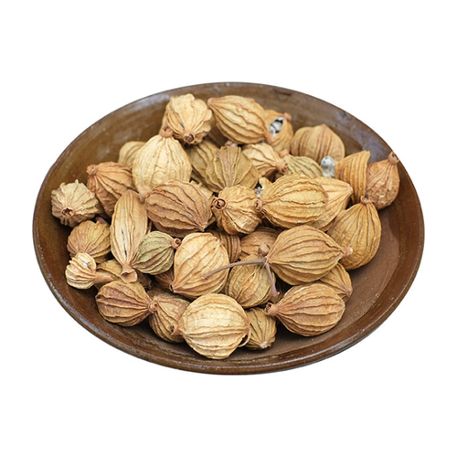 香砂仁 AMOMUM FRUIT 250g