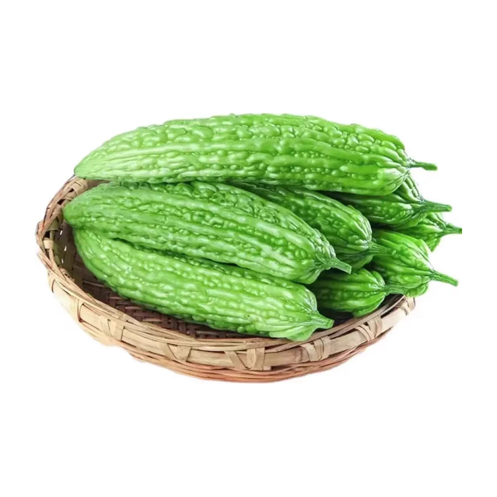 苦瓜 AMPALAYA
