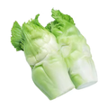 净菜 进口多仔菜 BABY CHOY