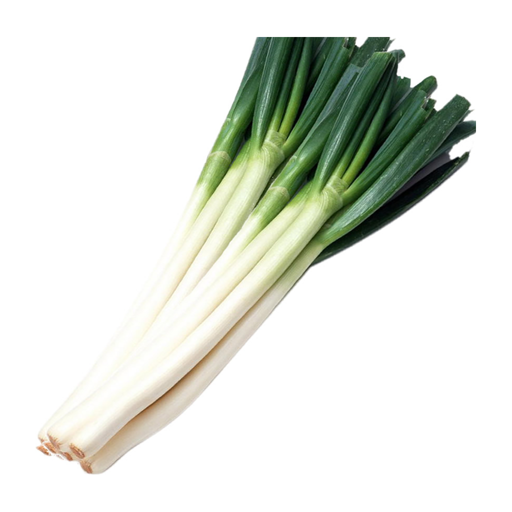 整件BOX 进口山东大葱 IMPORTED ONION LEEK 5kg