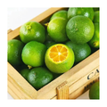 青桔 CALAMANSI
