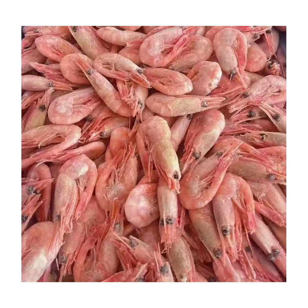 加拿大北极甜虾 CANADIAN ARCTIC SHRIMP