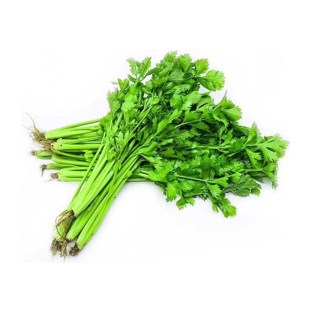 芹菜 CELERY