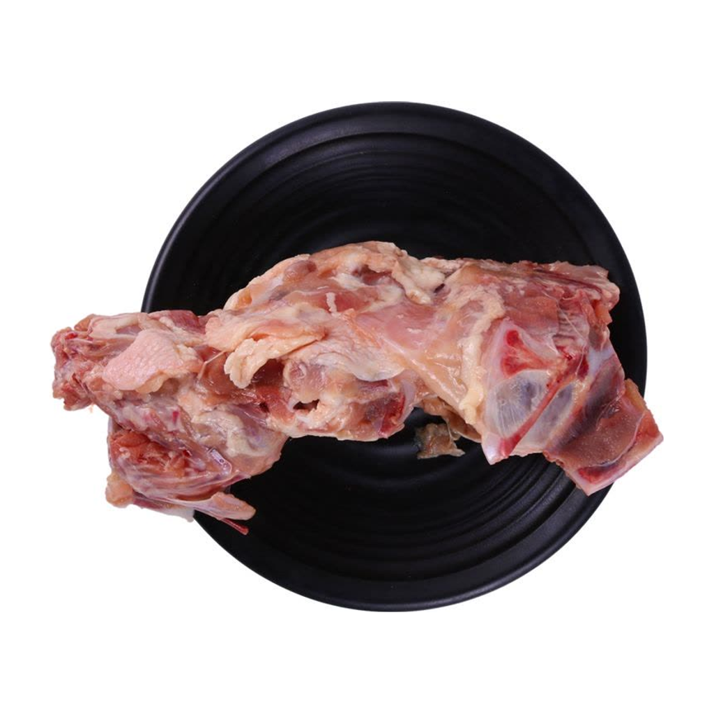 鸡骨架 CHICKEN BONE