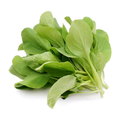 鸡毛菜 CHICKEN HAIR VEGETABLE