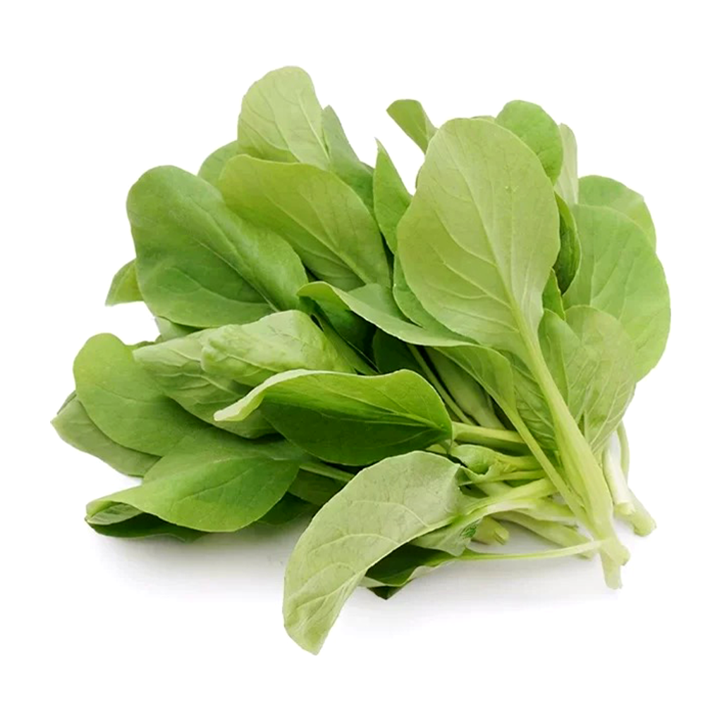 鸡毛菜 CHICKEN HAIR VEGETABLE