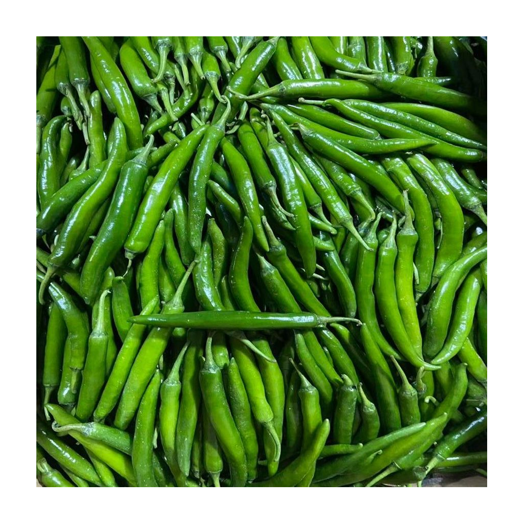 尖椒(杭椒) CHILI GREEN