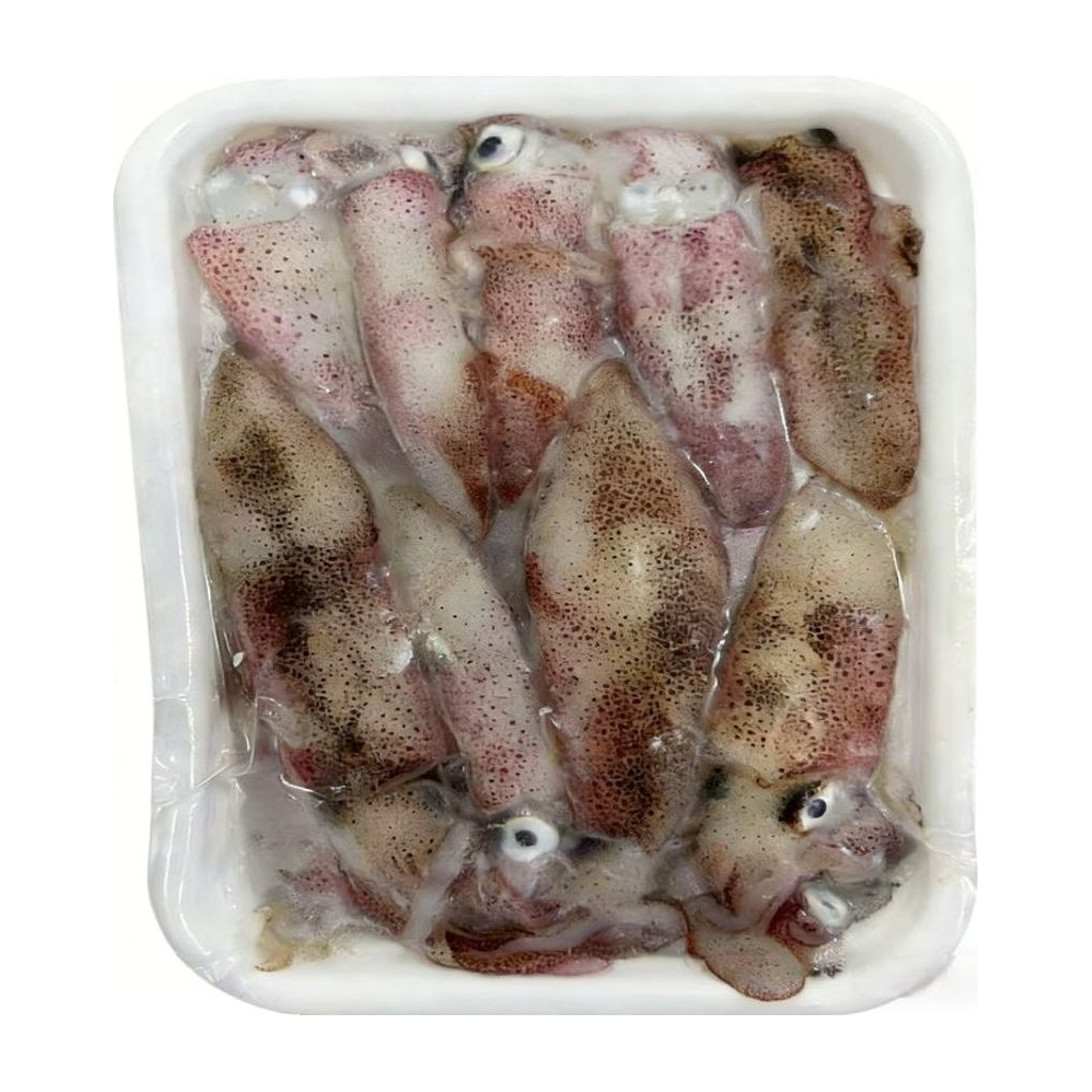 东山小管 DONGSHAN SQUID TUBE