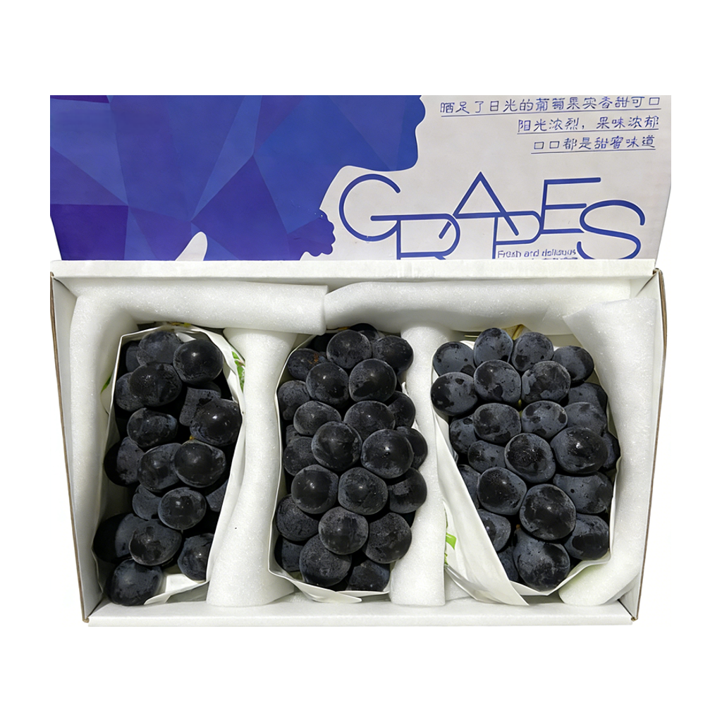 提博士大黑提 DR.TI BLACK GRAPE