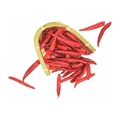 干辣椒 DRY CHILI 250G