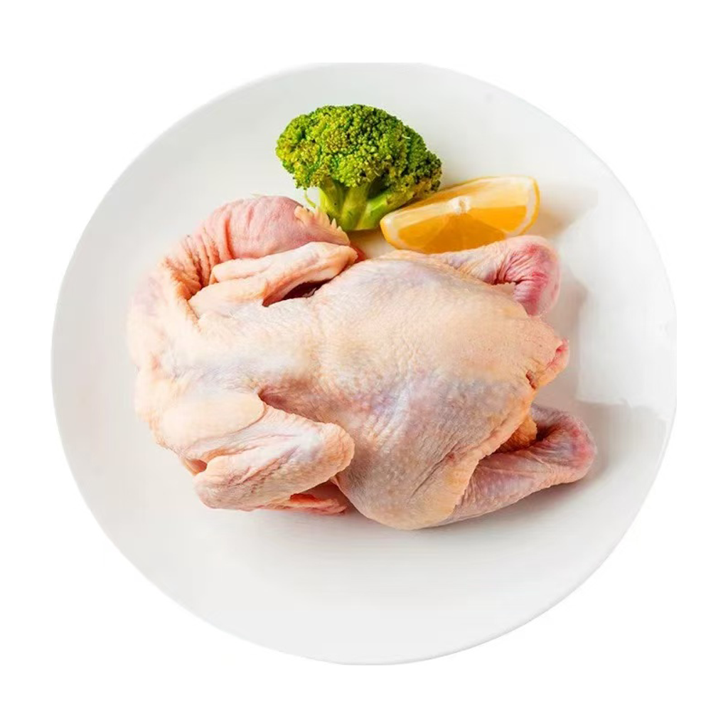 肉鸡 FRESH CHICKEN