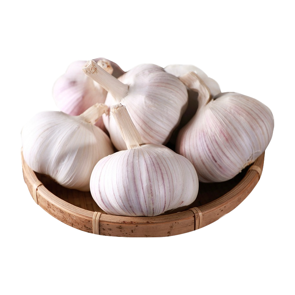 大蒜头 GARLIC