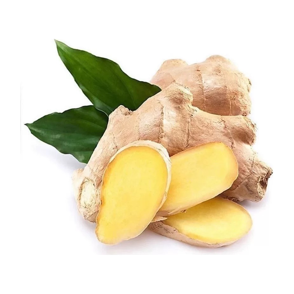 生姜 GINGER