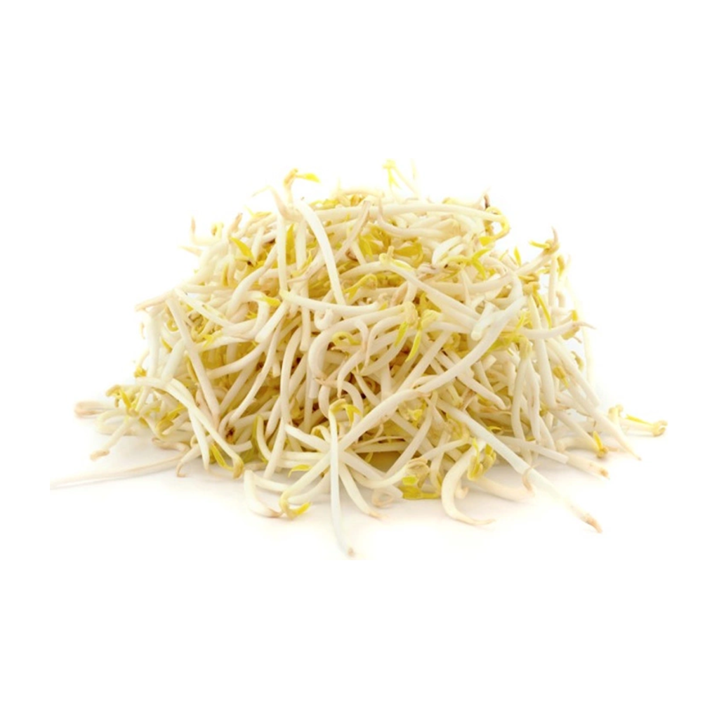 绿豆芽 GREEN TOGE