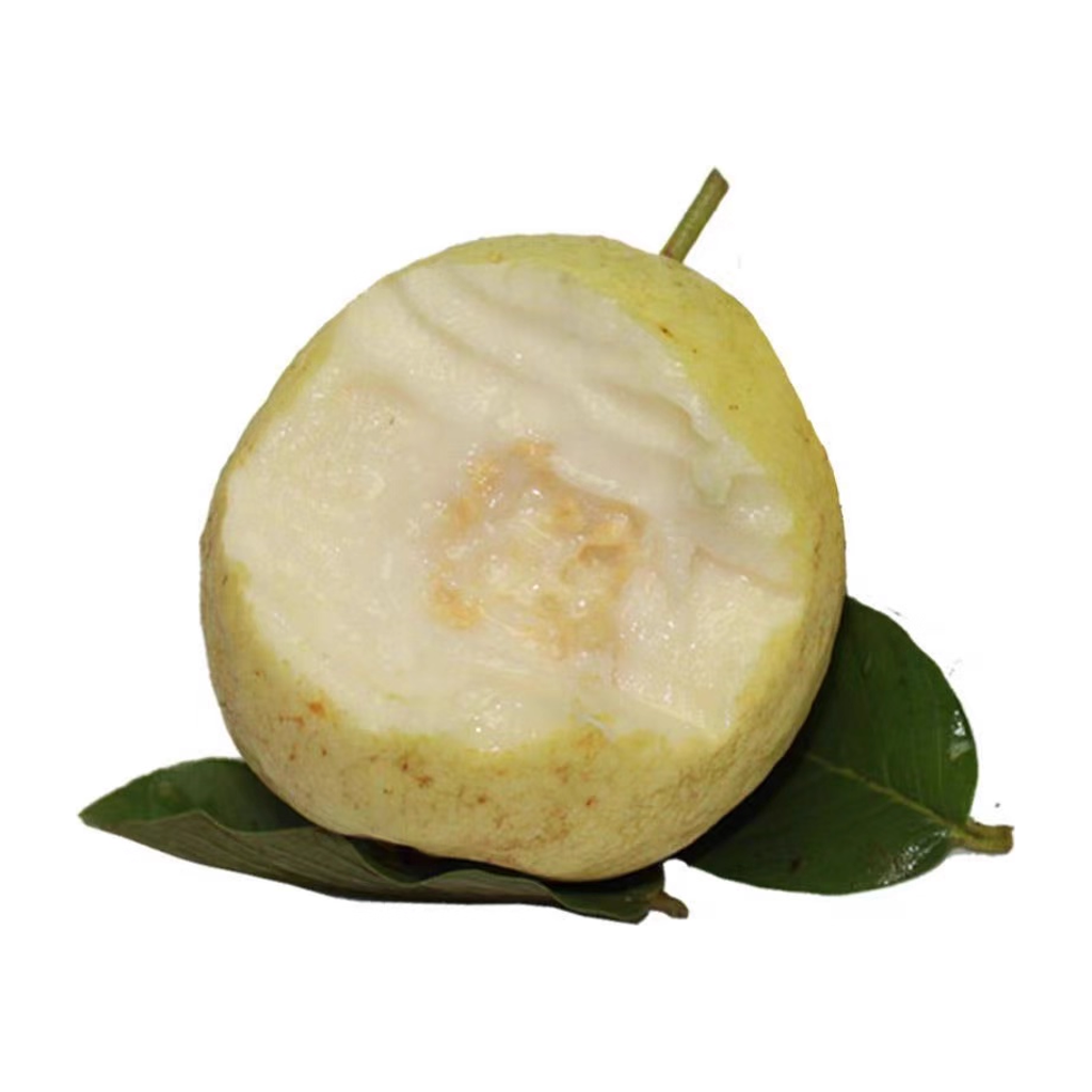 台湾奶油芭乐 GUAVA