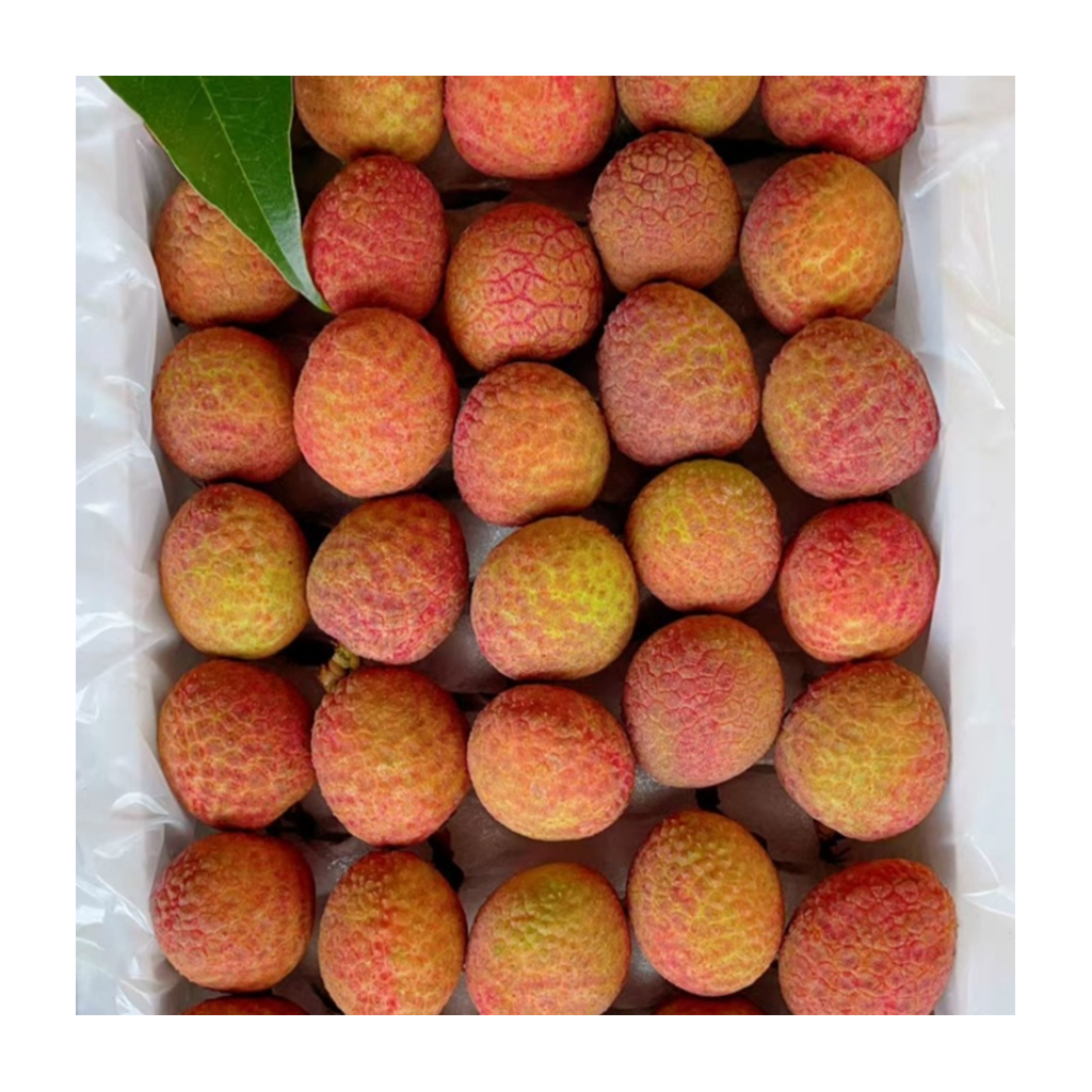 桂花香荔枝 GUIHUAXIANG LLITCHI 1.9kg