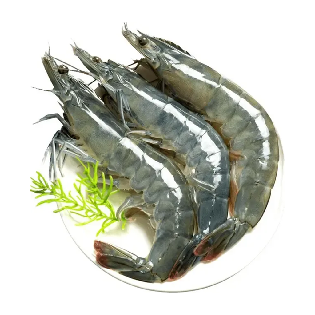 冰鲜虾 ICE CHILLED SHRIMP 500g