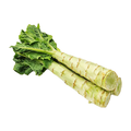 进口莴笋 IMPORT CELTUCE