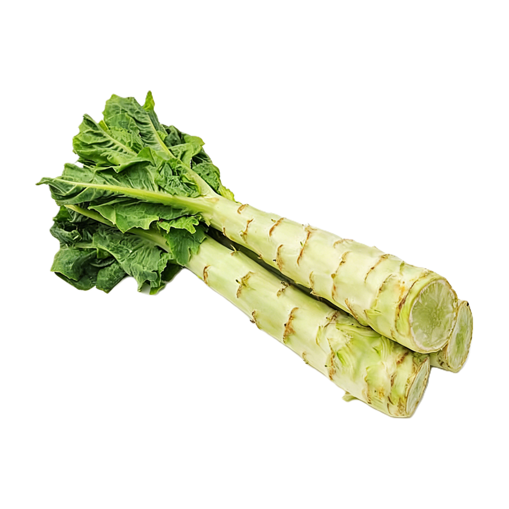 进口莴笋 IMPORT CELTUCE