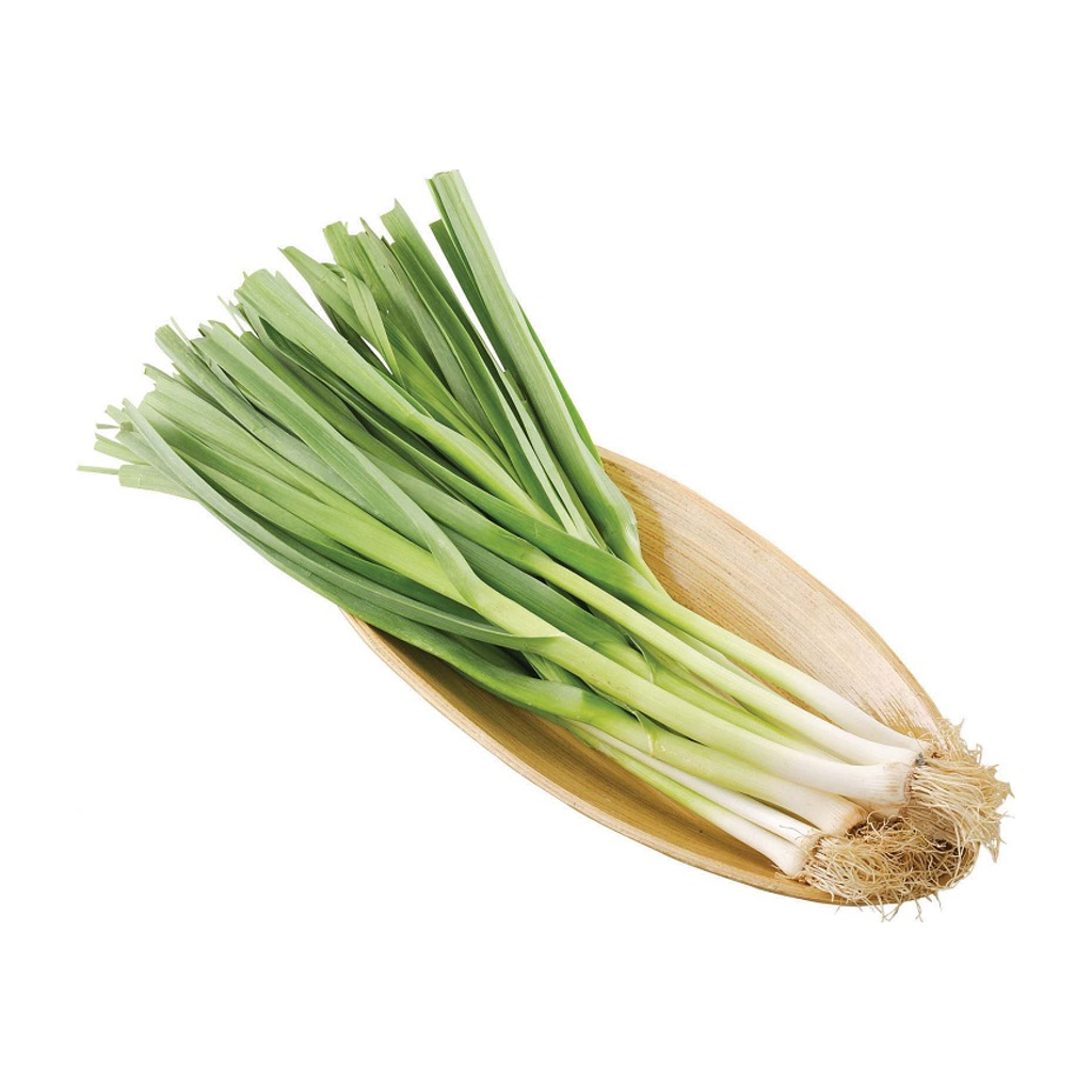 进口蒜苗 IMPORT GARLIC LEAVE