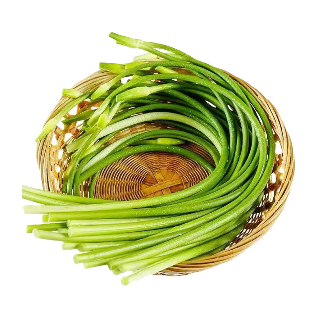 进口蒜苔(蒜薹) IMPORT GARLIC STICK