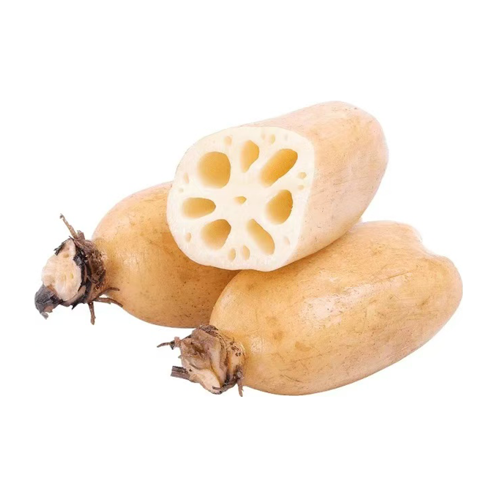 进口莲藕 IMPORT LOTUS ROOT