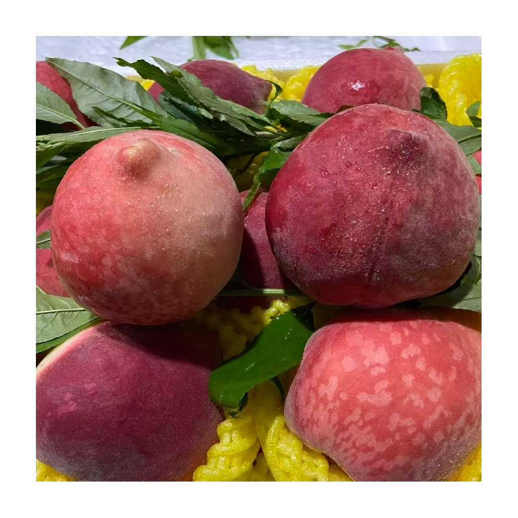 中国水蜜桃 IMPORT RED PEACH