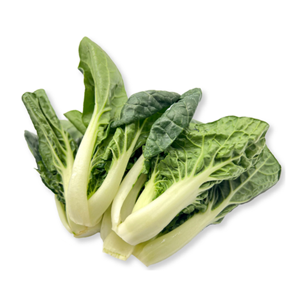 佳宝斗白菜 JABAA BIG CLOUD CHOY