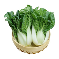 佳宝云朵菜 JABAA CLOUD CHOY
