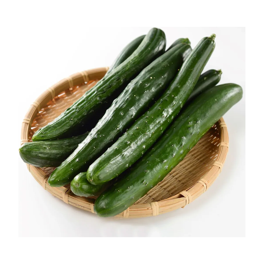 日本黄瓜 JAPANESE CUCUMBER