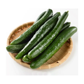 日本黄瓜 JAPANESE CUCUMBER