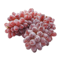 茉莉花葡萄 JASMINE GRAPES