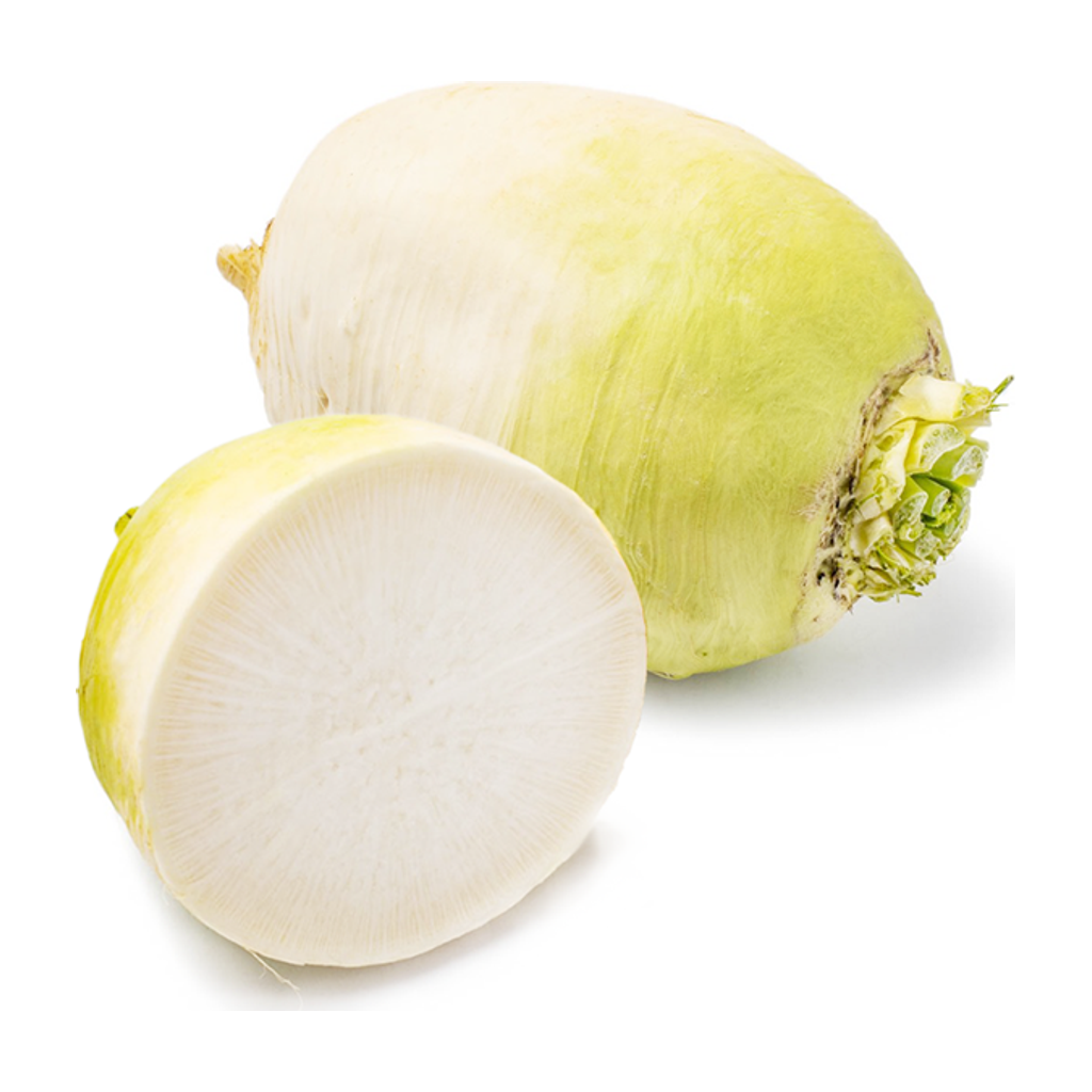 韩国白萝卜 KOREAN RADISH