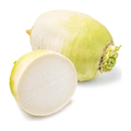 韩国白萝卜 KOREAN RADISH