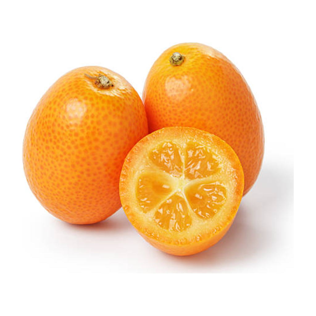 脆甜金桔 KUMQUAT