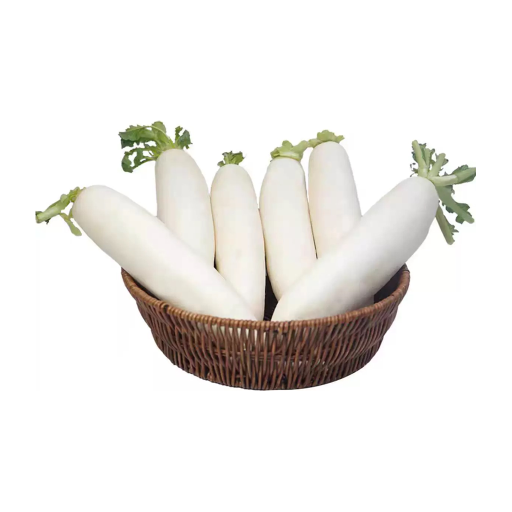 本地白萝卜 LOCAL RADISH