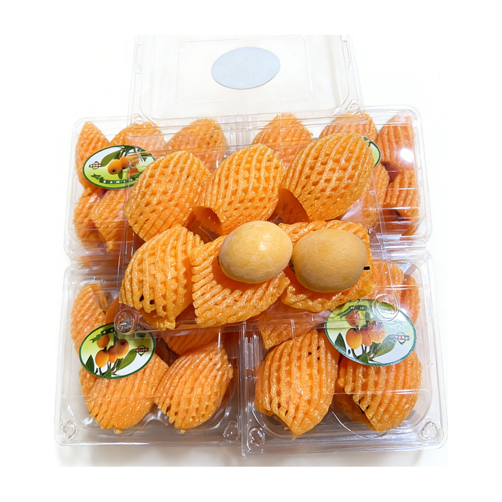 枇杷果 LOQUAT FRUIT