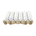 中号鸡蛋 MEDIUM EGG