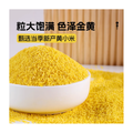 小米 MILLET 290g