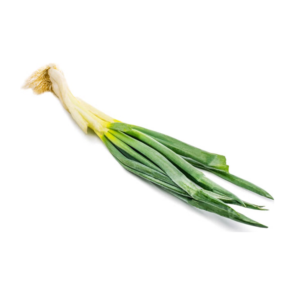 大葱 ONION LEEK
