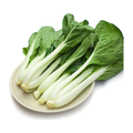 嫩白菜 PECHAY TAGALOG