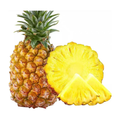 大凤梨 PINEAPPLE