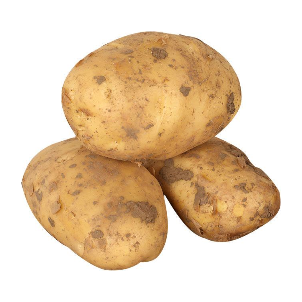 大土豆 POTATOES
