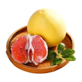 红心蜜柚 PUMMELO
