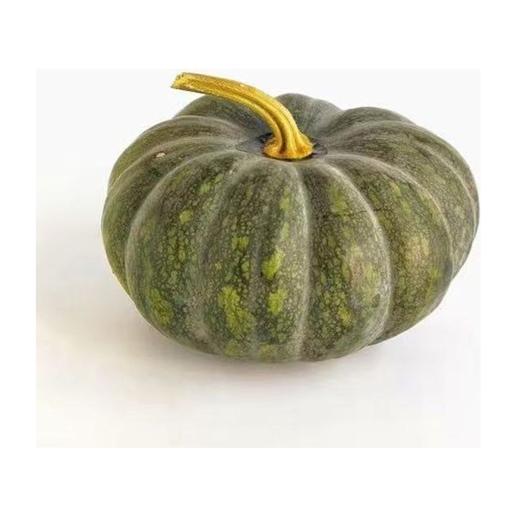 南瓜 PUMPKIN