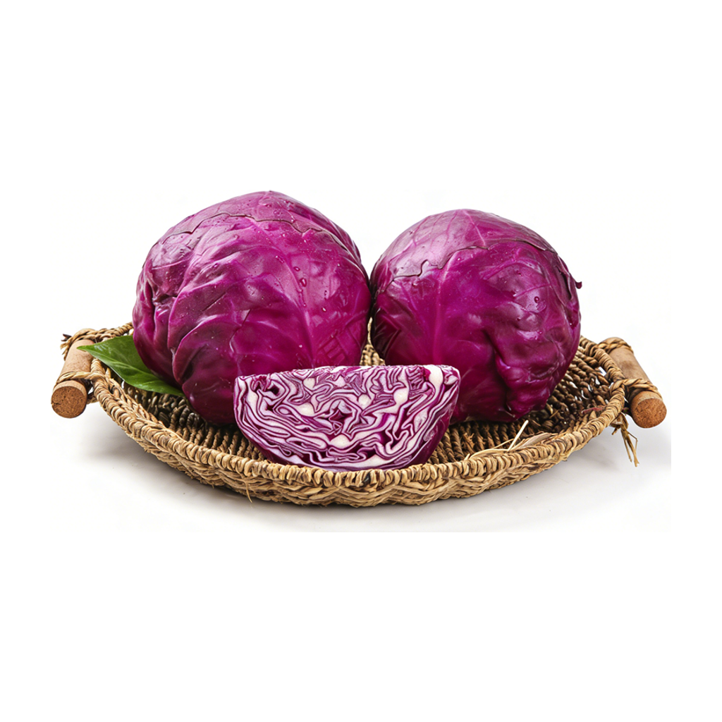 紫甘蓝 PURPLE CABBAGE